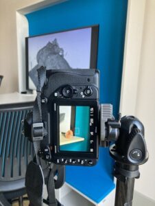 Immersion au coeur de Mimesis avec la photographe Emma Cossée Cruz